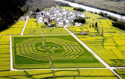 貴州鎮(zhèn)遠縣加強開展水稻病蟲害防治工作